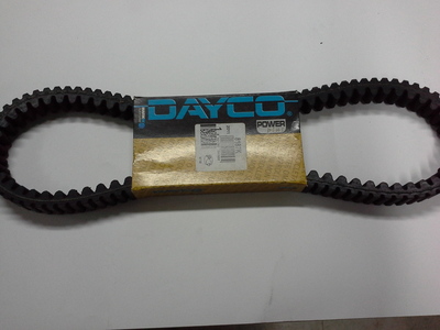 cinghia trasmissione Rms