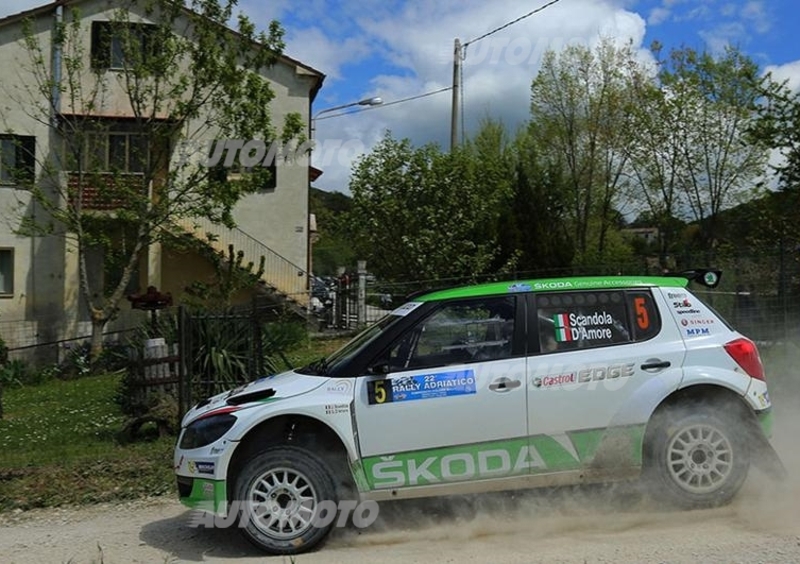 CIR 2015. Adriatico. La Gara Perfetta di Scandola (Skoda Fabia S2000)