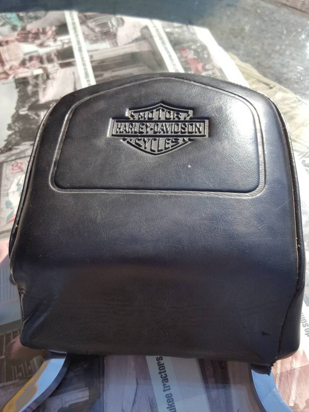 Schienale Harley-Davidson (3)