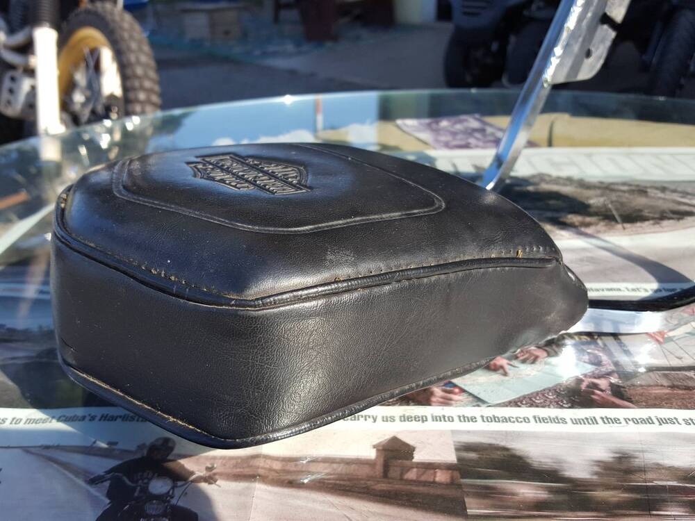 Schienale Harley-Davidson (6)