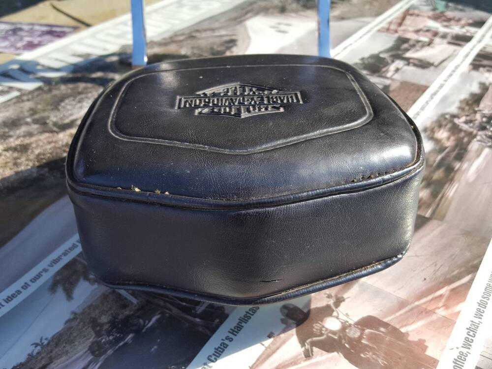 Schienale Harley-Davidson (5)