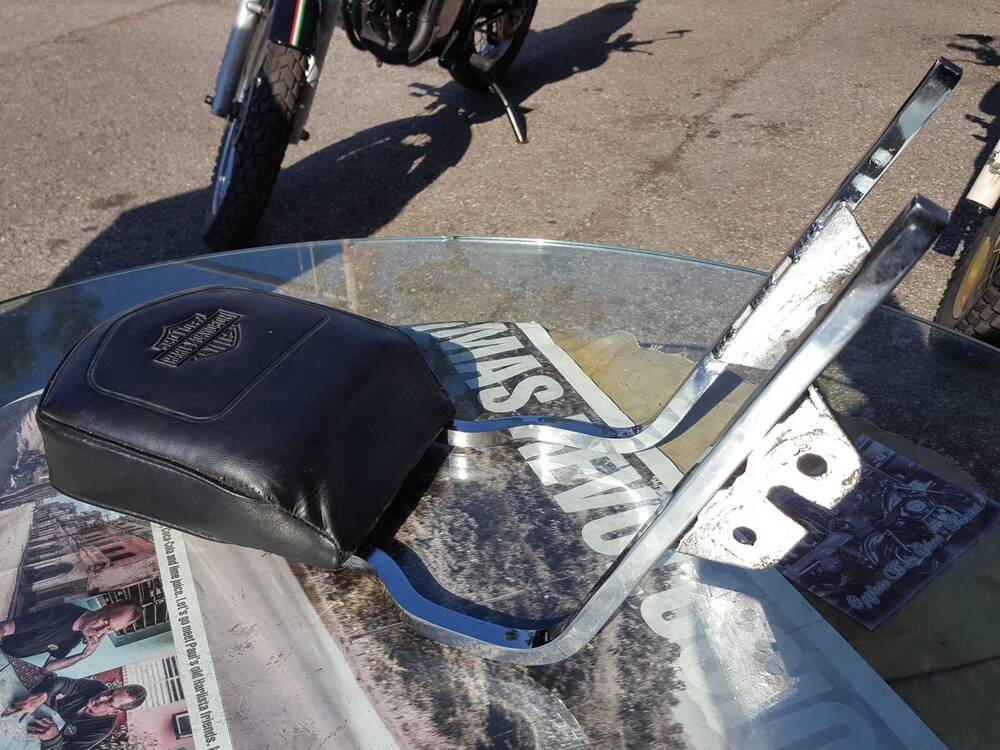 Schienale Harley-Davidson (11)