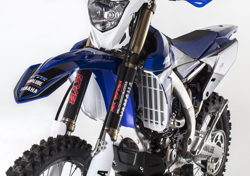 Yamaha WR 450 F WR 450 F Enduro GP (2017) (10)