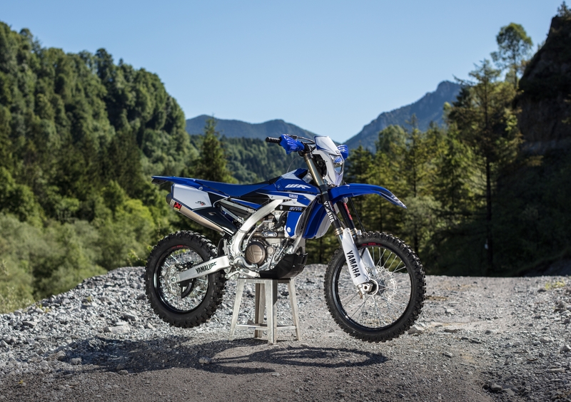 Yamaha WR 450 F WR 450 F Enduro GP (2017) (15)