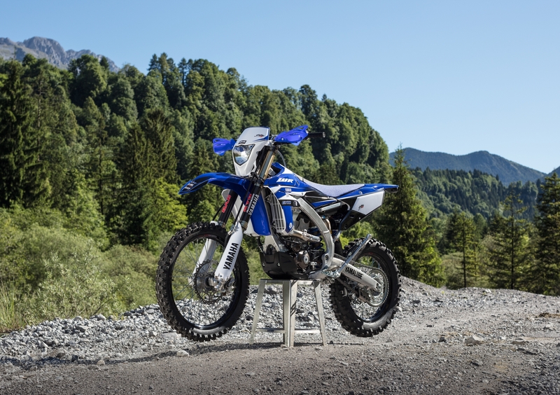 Yamaha WR 450 F WR 450 F Enduro GP (2017) (19)