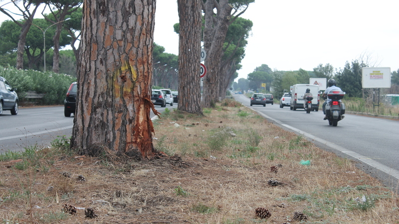 Via Cristoforo Colombo, Roma: &egrave; allarme rosso