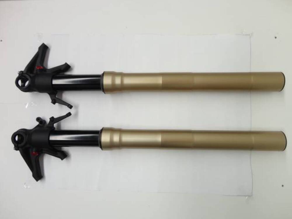 Forcella Ducati Panigale Marzocchi