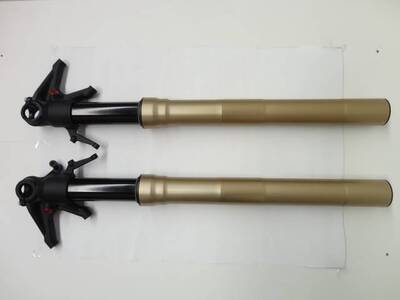 Forcella Ducati Panigale Marzocchi