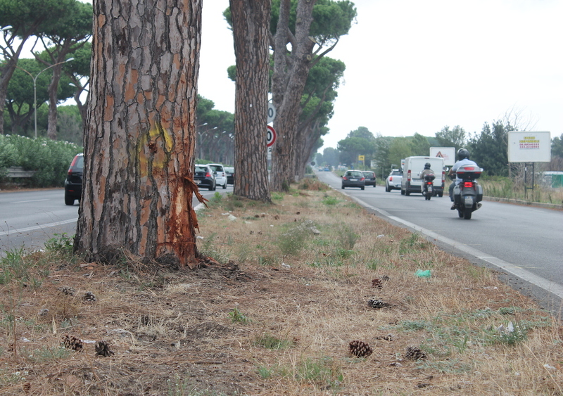 Via Cristoforo Colombo, Roma: &egrave; allarme rosso