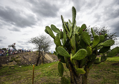 MXGP, Messico 2015. Gajser e Jonass, battaglia per il titolo