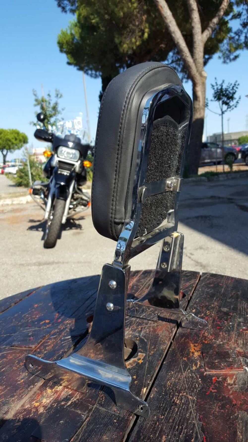 Schienalino Sportster Harley-Davidson (3)