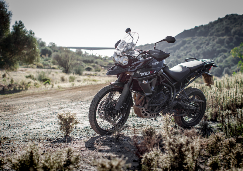 Triumph Tiger 800 Tiger 800 XCx (2017 - 18) (12)