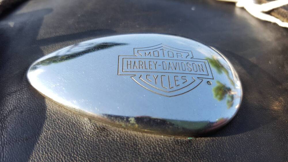 Borsa Softail Harley-Davidson (2)