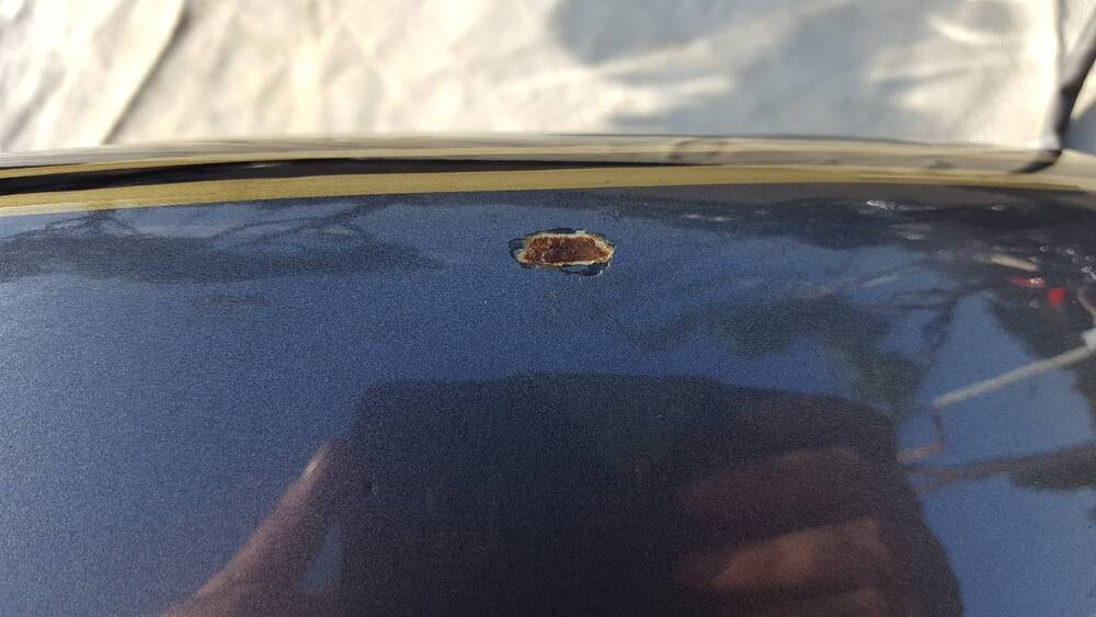 Parafango Posteriore HD Harley-Davidson (6)