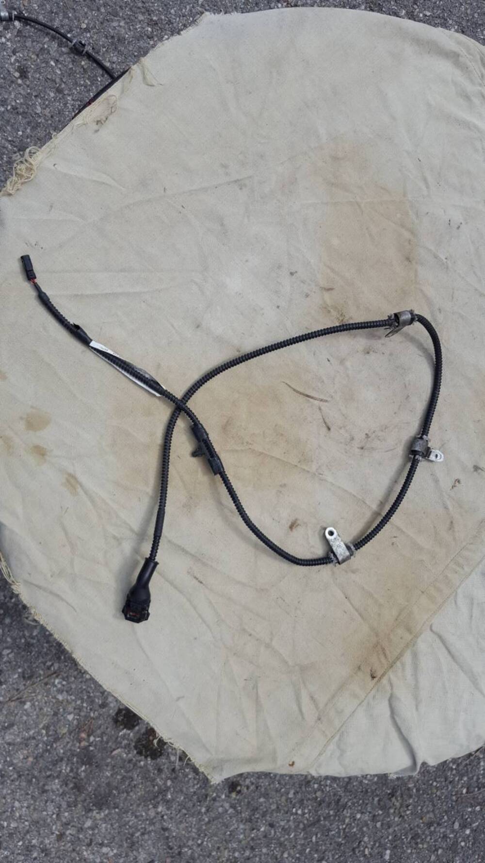 Cavo Sensore velocità Dx Piaggio (2)