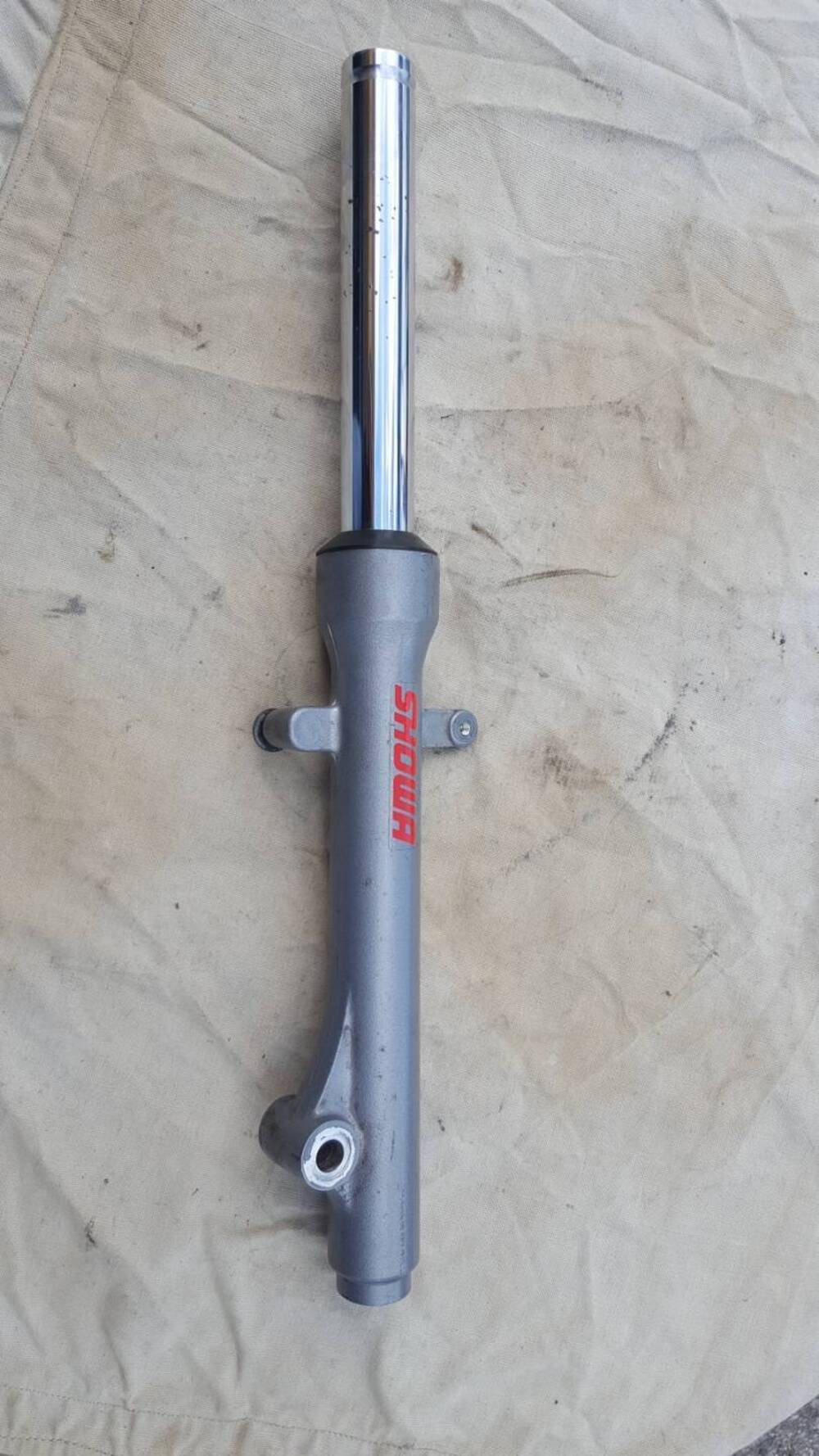 Ammortizzatore Ant DX Showa (2)