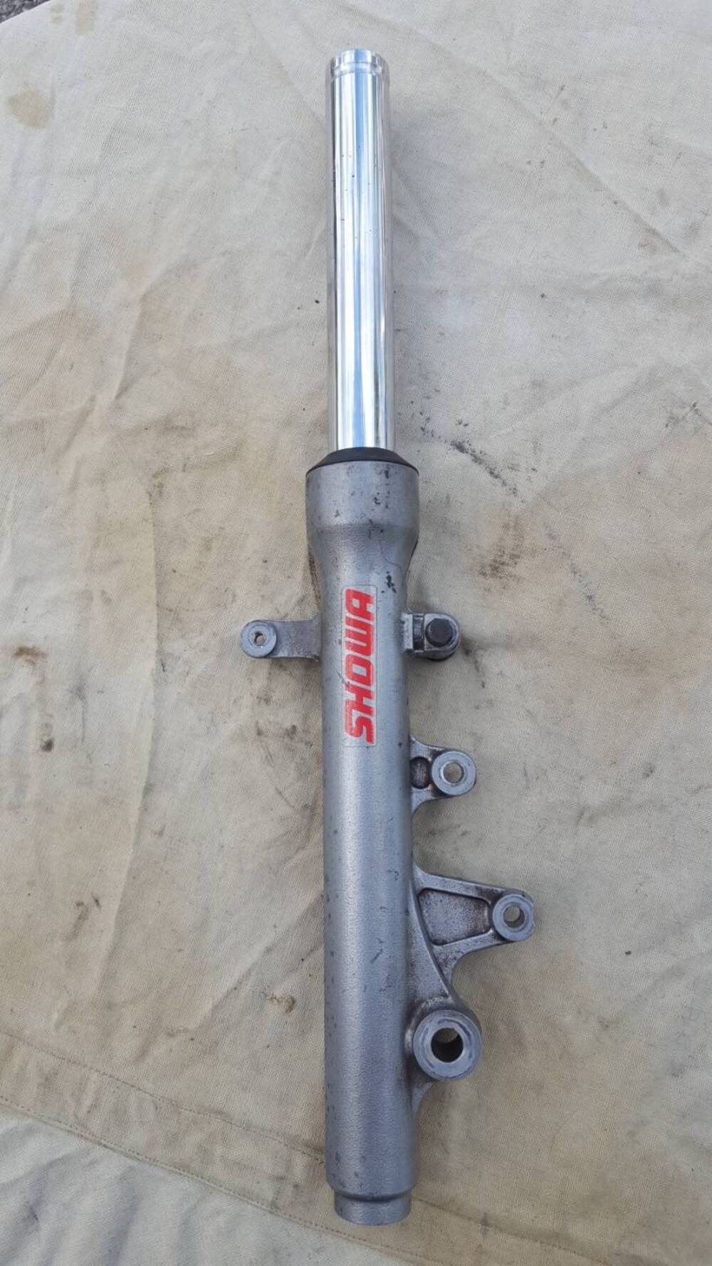 Ammortizatore Ant Sx Showa (2)