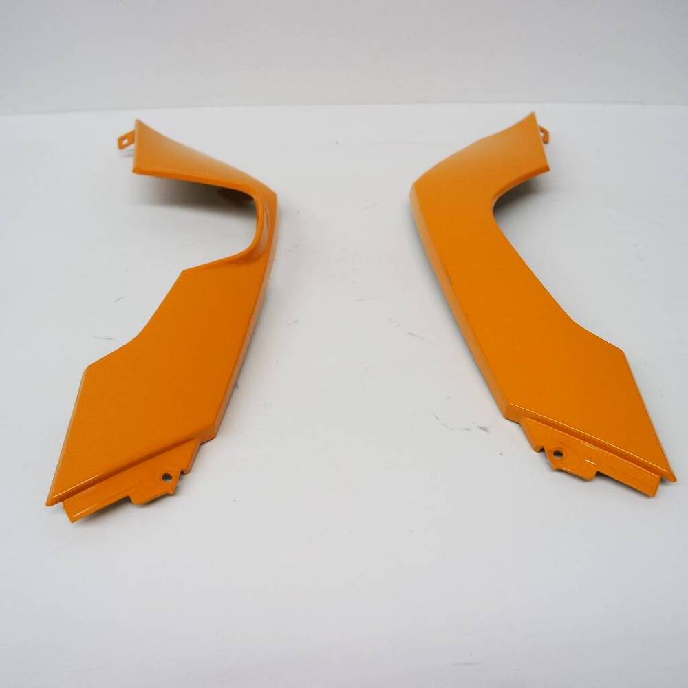 Fianchi Posteriori GS800 BMW