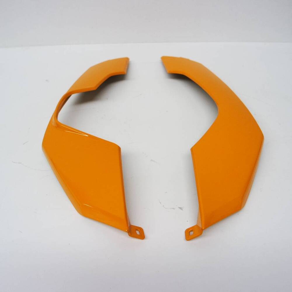 Fianchi Posteriori GS800 BMW (2)