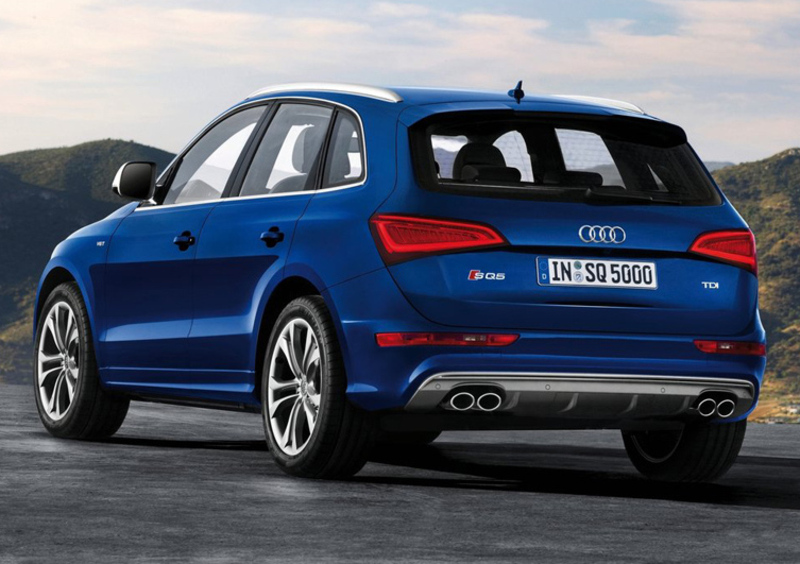 Audi SQ5 (2012-17) (2)