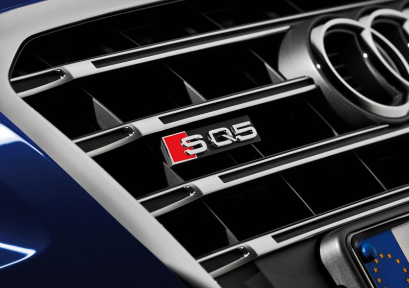 Audi SQ5 (2012-17) (10)