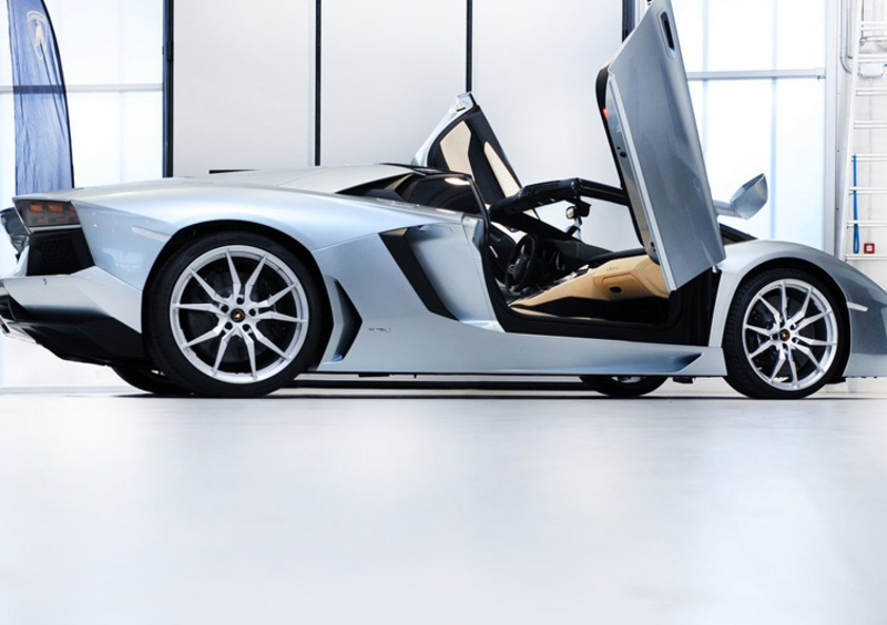 Lamborghini Aventador Cabrio (2012-21) (34)