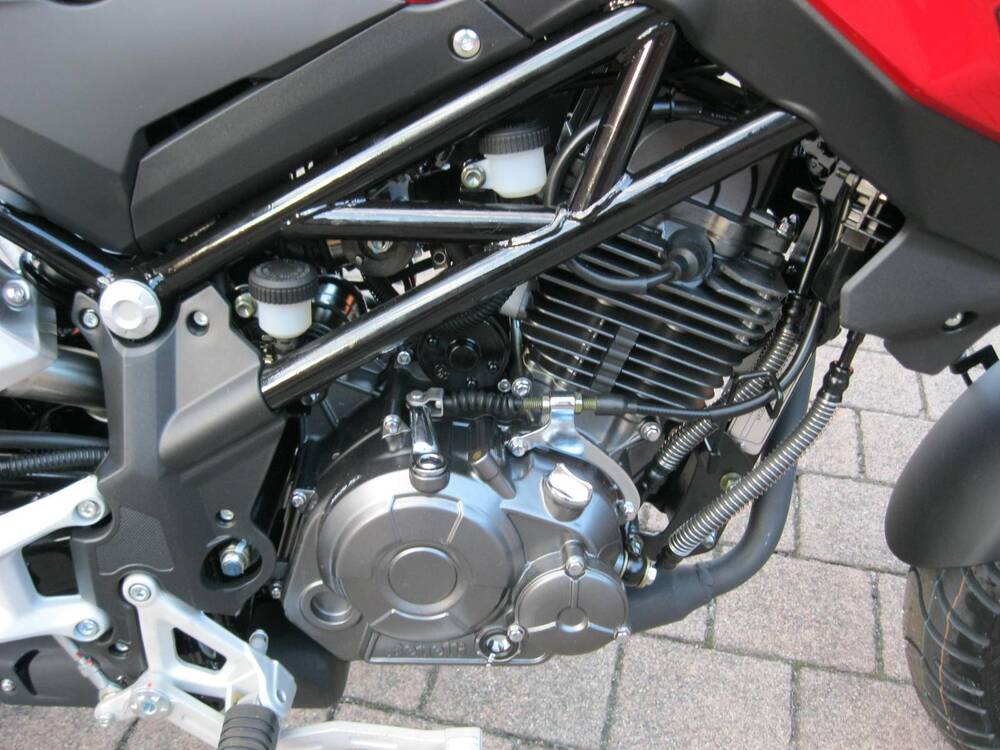 Benelli Tornado Naked T 125 (2022 - 25) (15)