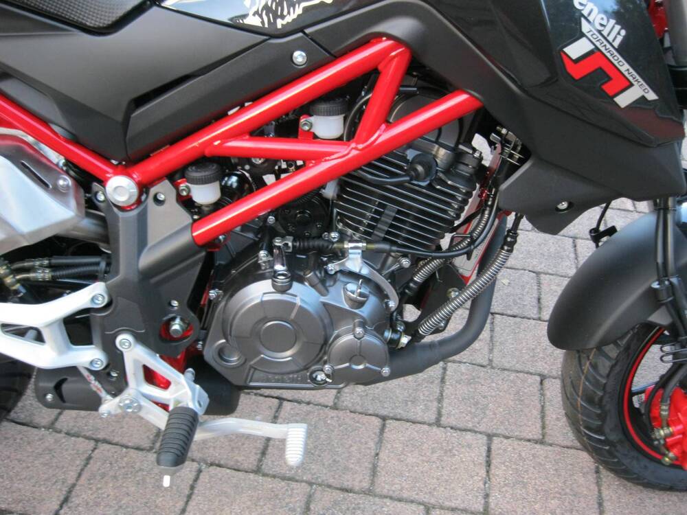 Benelli Tornado Naked T 125 (2022 - 25) (16)