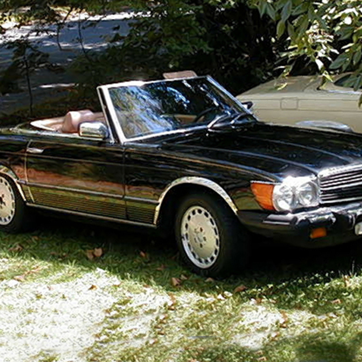 Mercedes-Benz 450 Cabrio (1977-80)