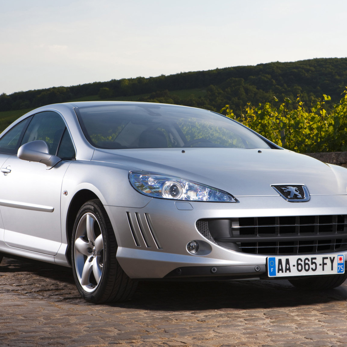 Peugeot 407 Coup&eacute; (2005-12)