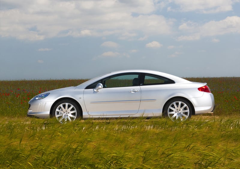 Peugeot 407 Coupé (2005-12) (4)