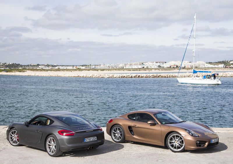 Porsche Cayman (2013-16) (16)