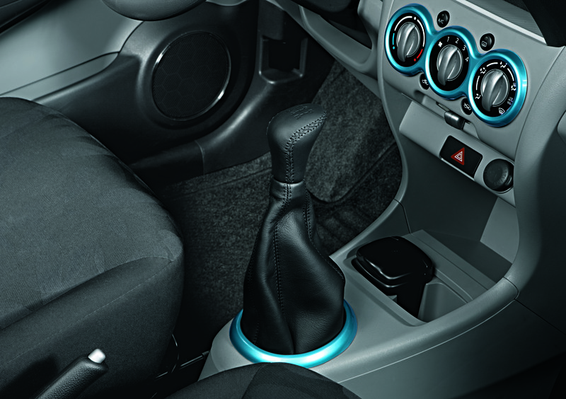 Suzuki Alto (2009-15) (12)