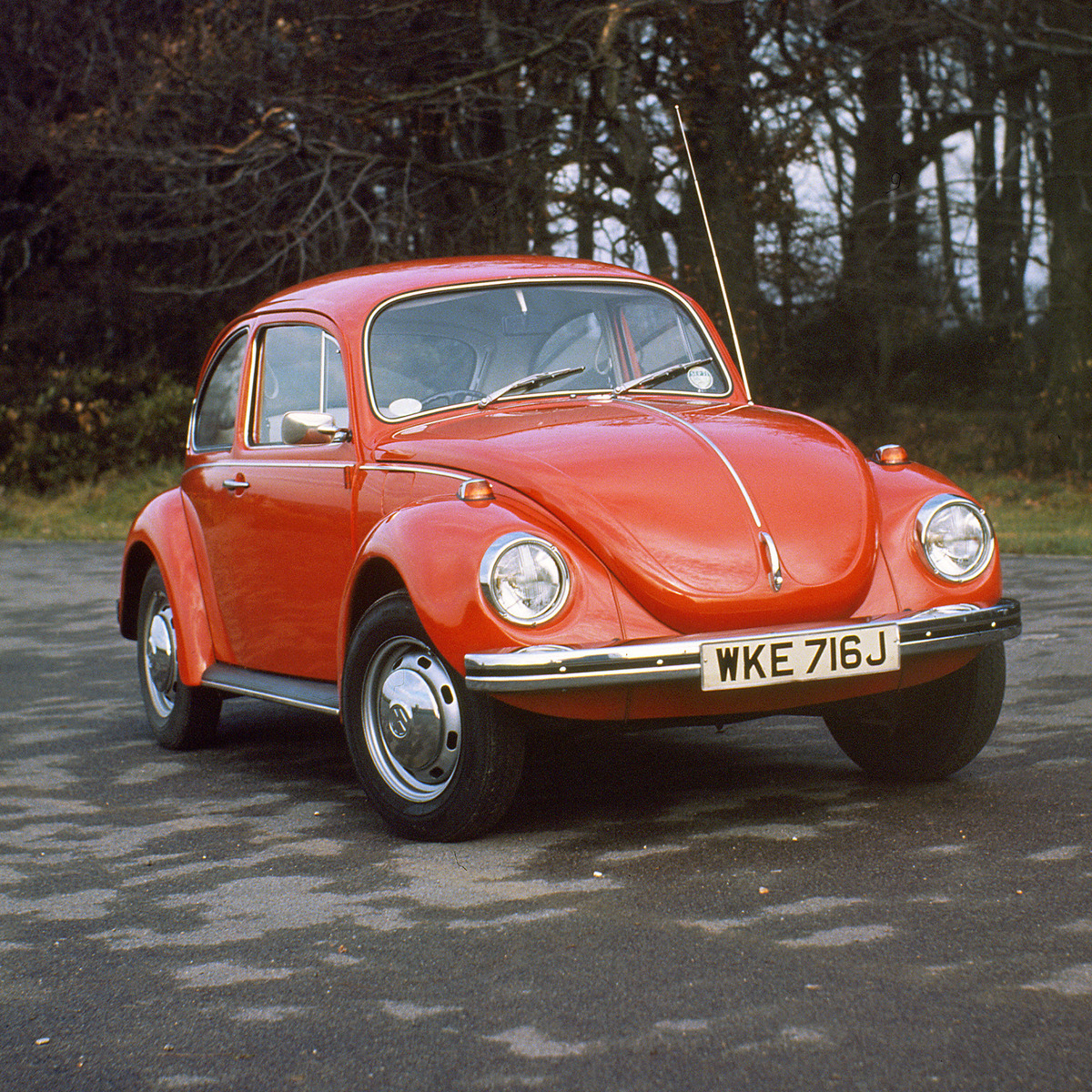 Volkswagen Maggiolino (1983-86)
