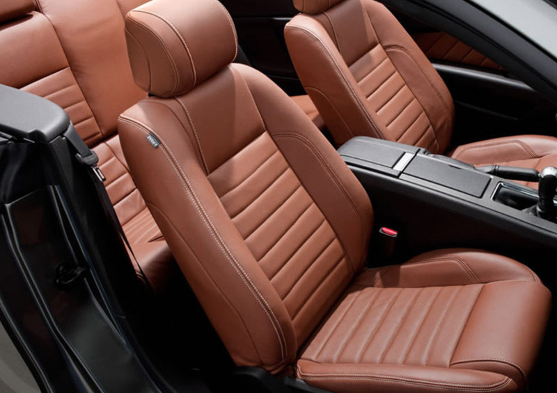 Mustang Mustang Cabrio (2012-14) (12)