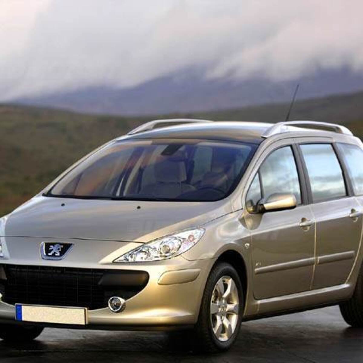 Peugeot 307 SW (2002-08)