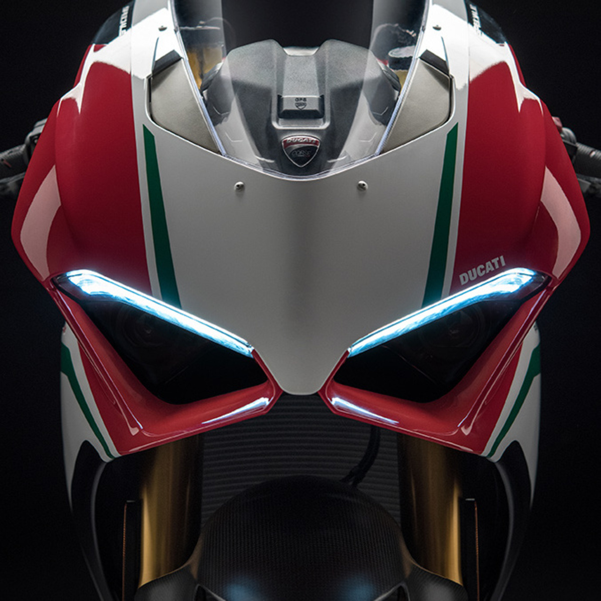 Ducati Panigale V4 Speciale 1100 (2018 - 19)