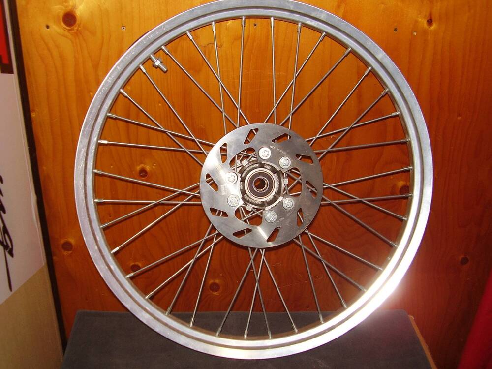 ruota ant Alpina Raggi 21 x 160