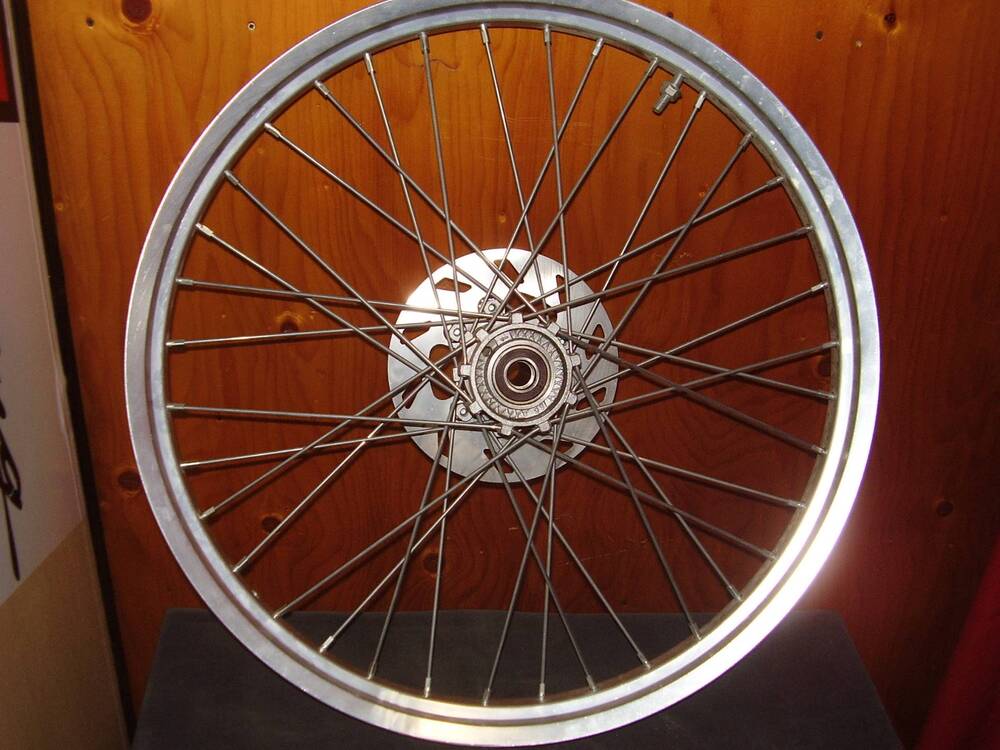 ruota ant Alpina Raggi 21 x 160 (2)