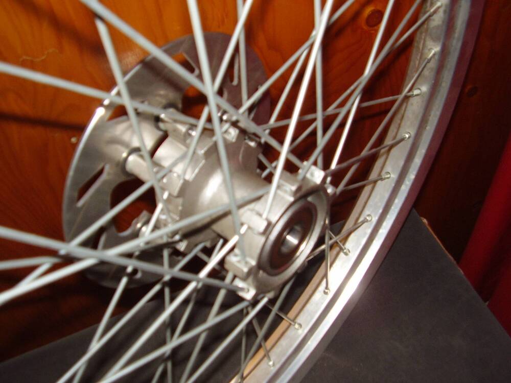 ruota ant Alpina Raggi 21 x 160 (3)