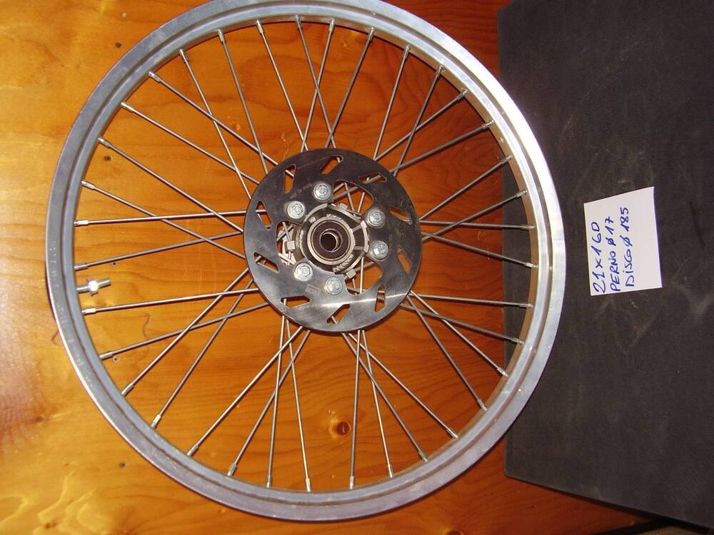 ruota ant Alpina Raggi 21 x 160 (4)