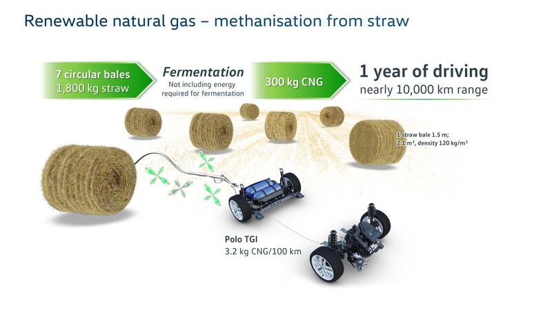 La Polo TGI che teoricamente viaggia un anno con 300 Kg di CNG, equivalenti a 7 balle di fieno