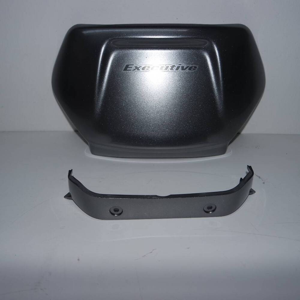 Schienalino Burgman 650 Suzuki (2)