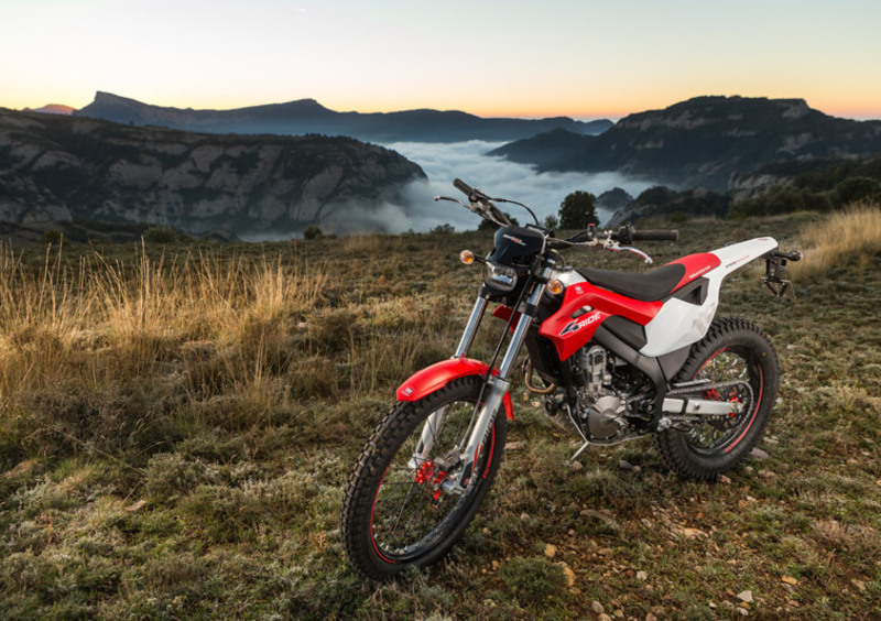 Montesa 4 Ride 260 4 Ride 260 (2016 - 17) (3)