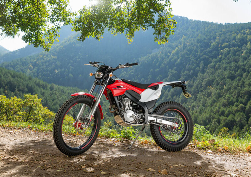 Montesa 4 Ride 260 4 Ride 260 (2016 - 17) (4)