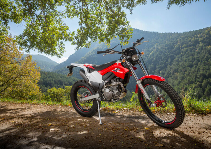 Montesa 4 Ride 260 4 Ride 260 (2016 - 17) (7)