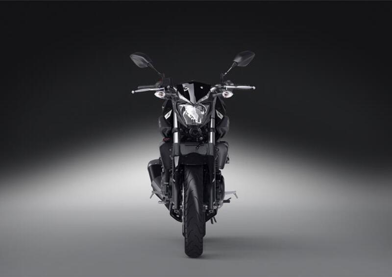 Yamaha MT-03 MT-03 (2016 - 17) (4)