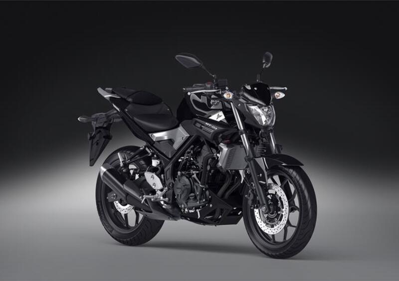 Yamaha MT-03 MT-03 (2016 - 17) (7)