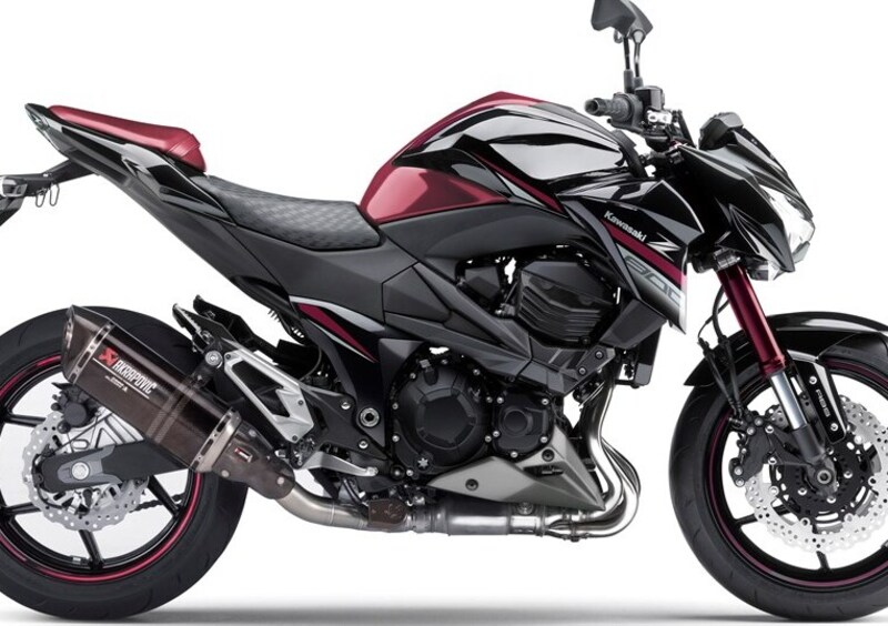 Kawasaki Z 800 Z 800 Sugomi Edition ABS (2016) (3)