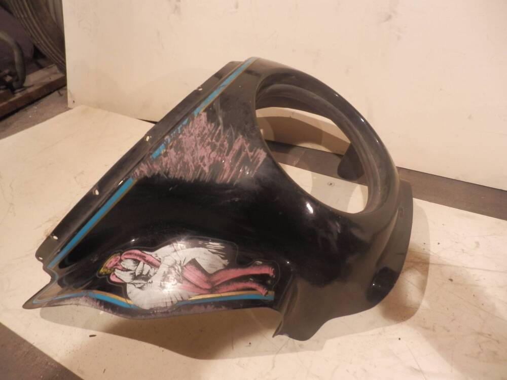 cupolino Kawasaki (2)